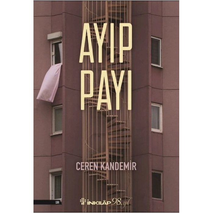 Ayıp Payı