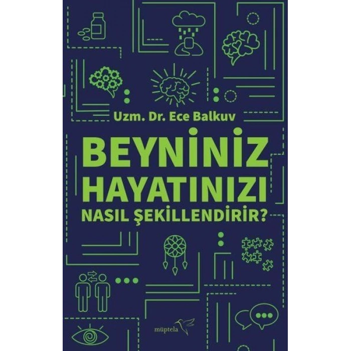 Beyniniz Hayatınızı Nasıl Şekillendirir?