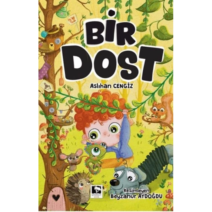Bir Dost