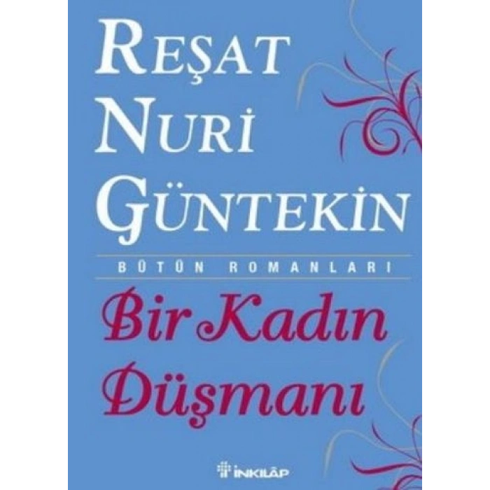 Bir Kadın Düşmanı