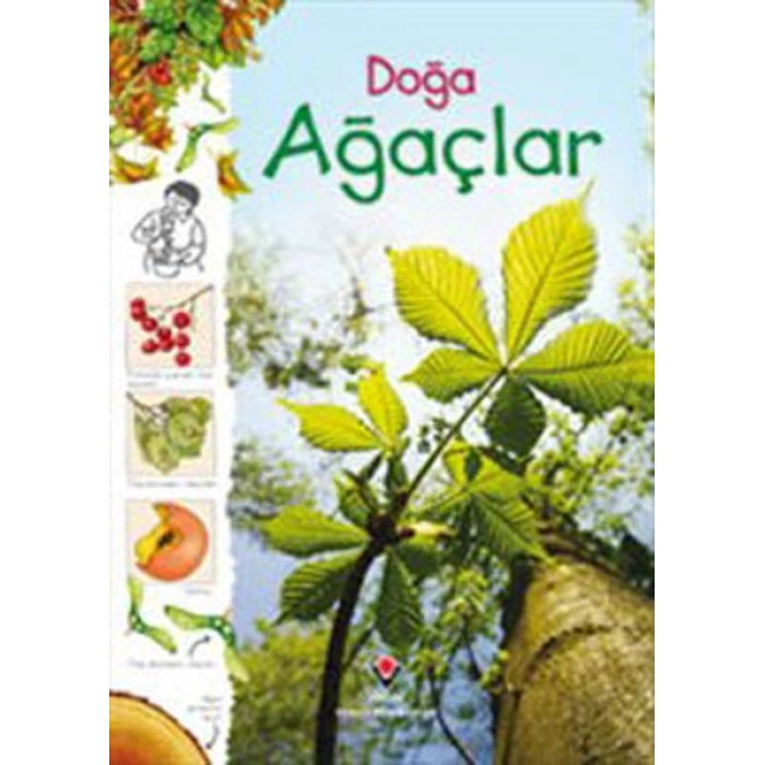 Doğa - Ağaçlar