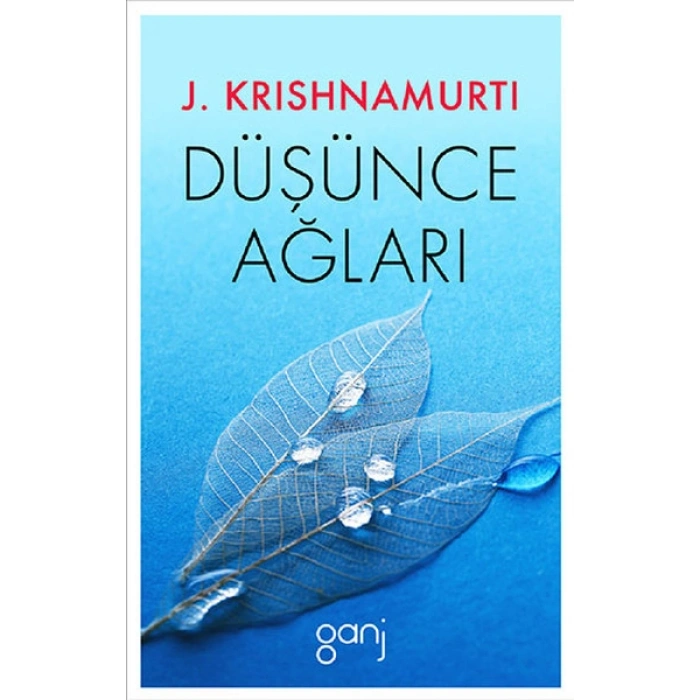 Düşünce Ağları