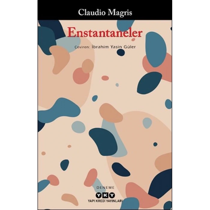 Enstantaneler