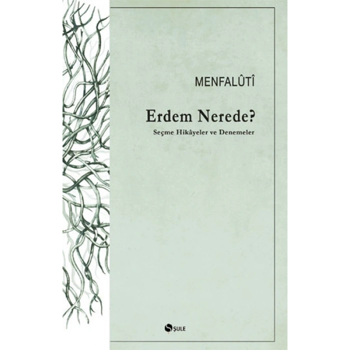 Erdem Nerede? Seçme Hikayeler ve Denemeler