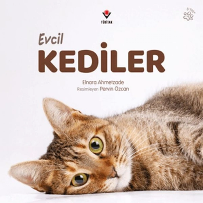 Evcil Kediler