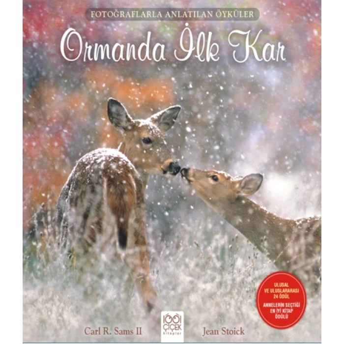 Fotoğraflarla Anlatılan Öyküler - Ormanda İlk Kar