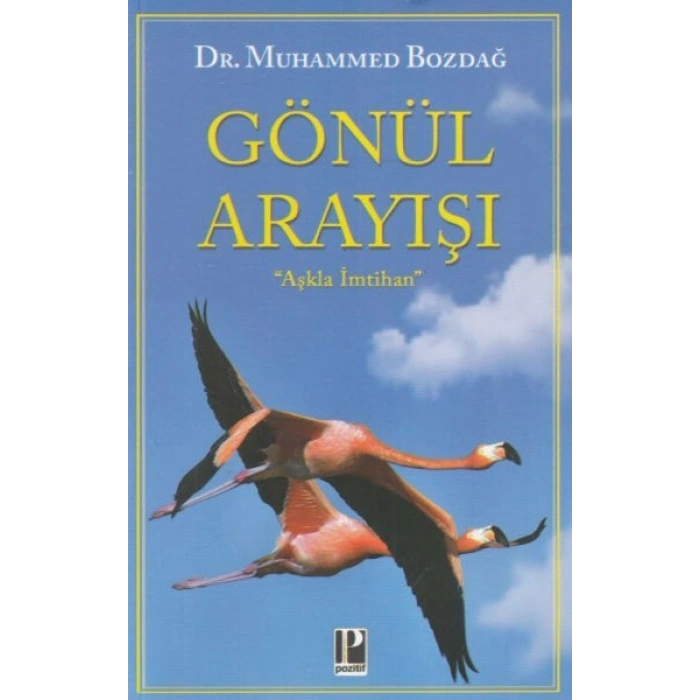 Gönül Arayışı
