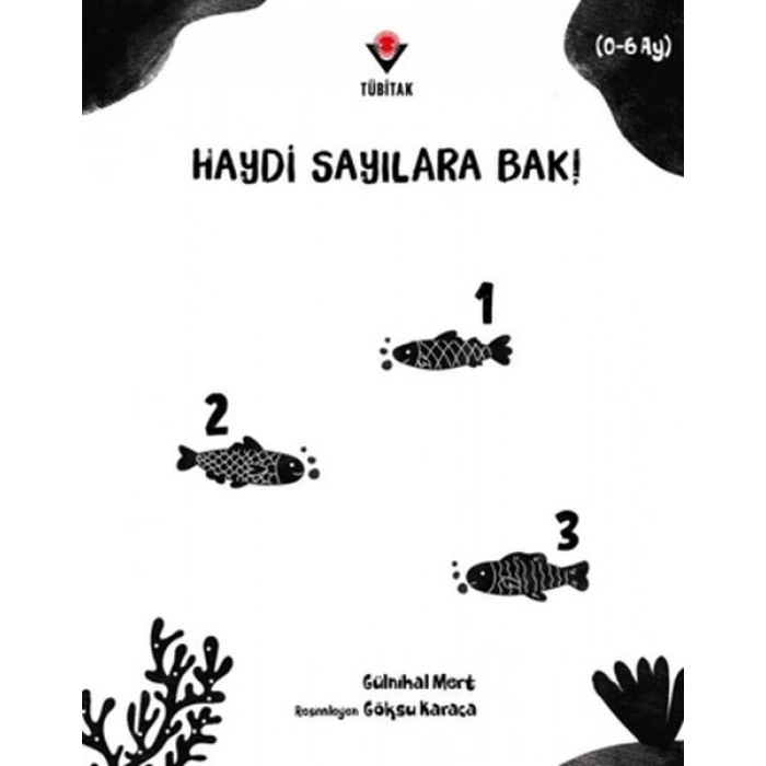 Haydi Sayılara Bak!