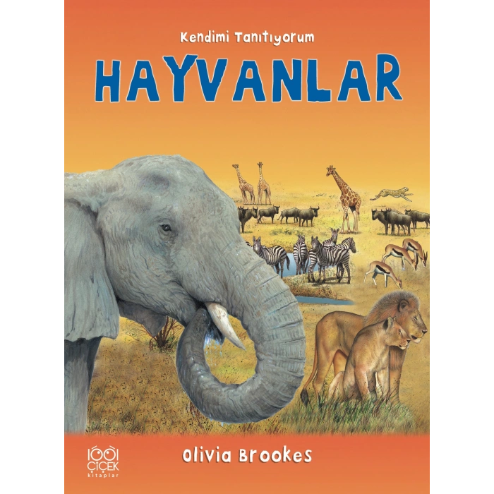 Hayvanlara Soralım