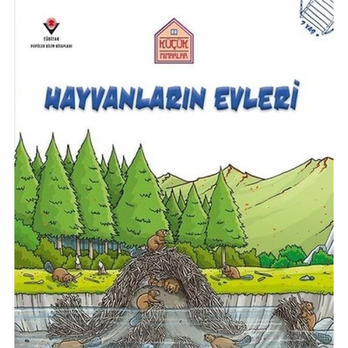 Hayvanların Evleri - Küçük Mimarlar