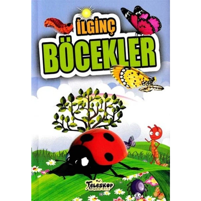 İlginç Böcekler - İlginç Bilgiler Serisi