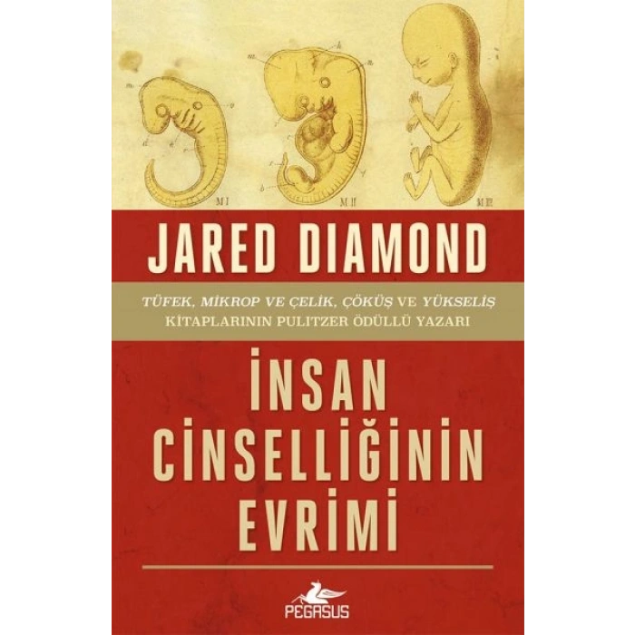 İnsan Cinselliğinin Evrimi - Ciltsiz