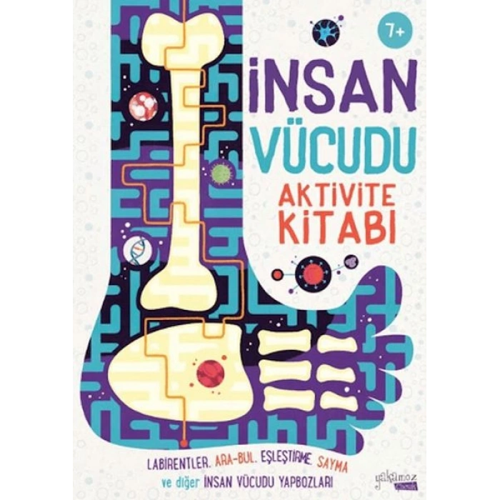 İnsan Vücudu Aktivite Kitabı