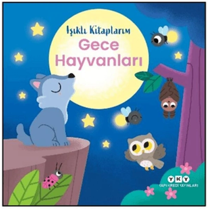 Işıklı Kitaplarım: Gece Hayvanları