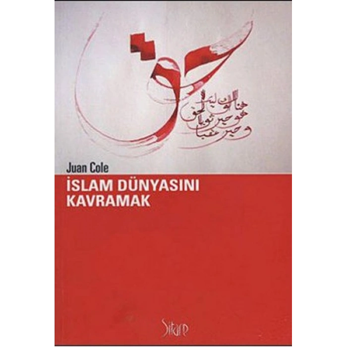 İslam Dünyasını Kavramak