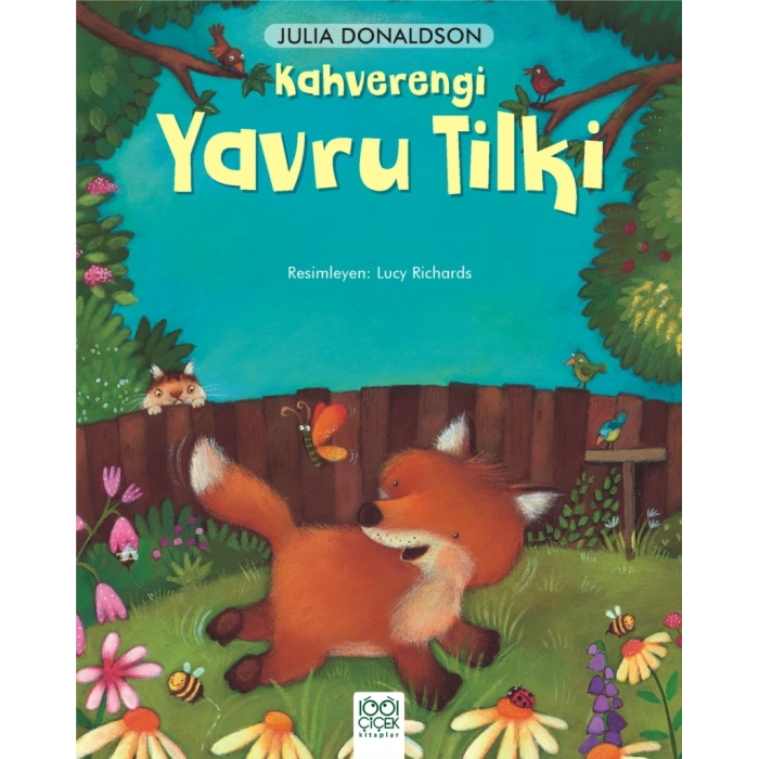 Kahverengi Yavru Tilki