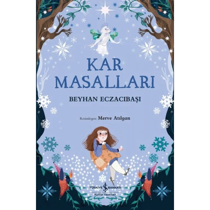 Kar Masalları