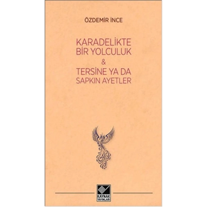 Kara Delikte Bir Yolculuk ve Tersine ya da Sapkın Ayetler