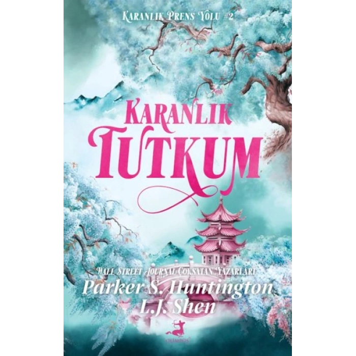 Karanlık Tutkum