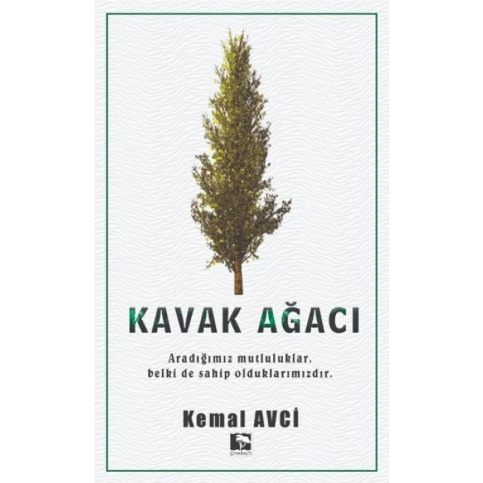 Kavak Ağacı