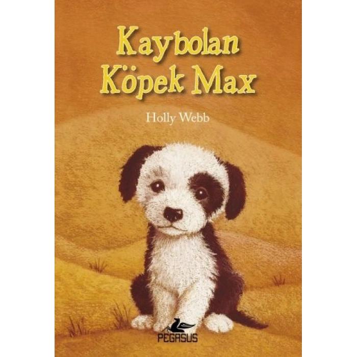 Kaybolan Köpek Max