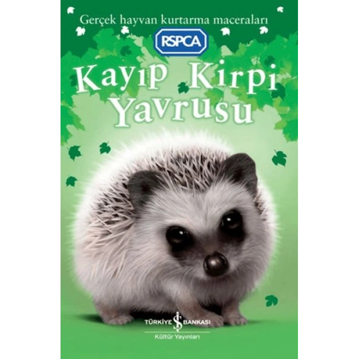 Kayıp Kirpi Yavrusu