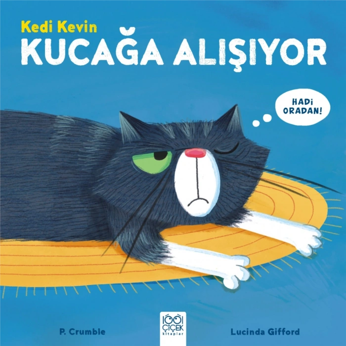 Kedi Kevin - Kucağa Alışıyor