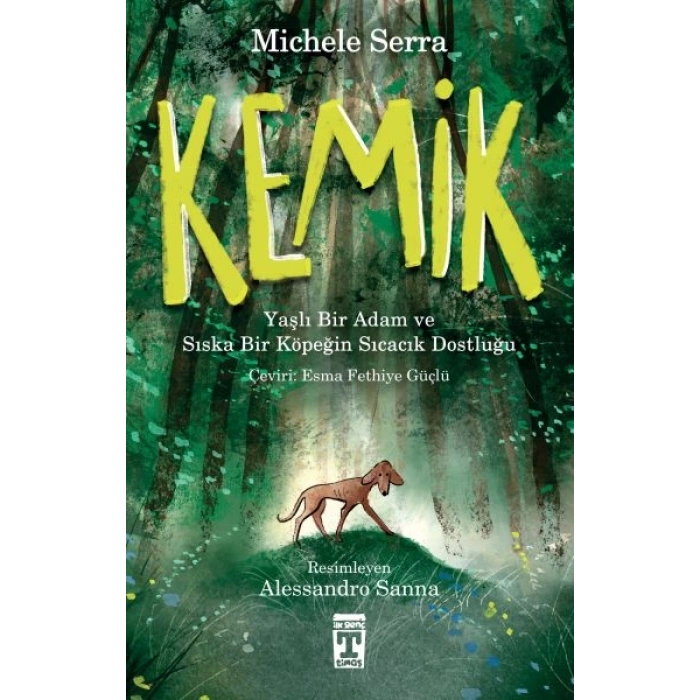 Kemik