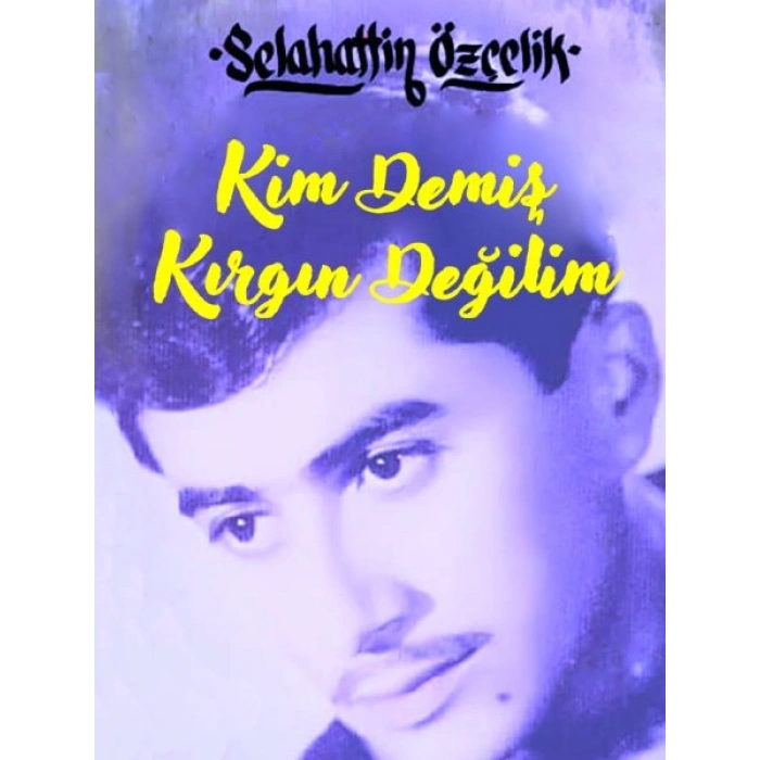 Kim Demiş Kırgın Değilim