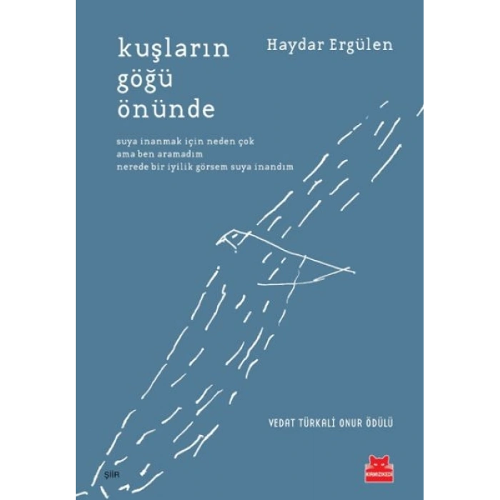 Kuşların Göğü Önünde