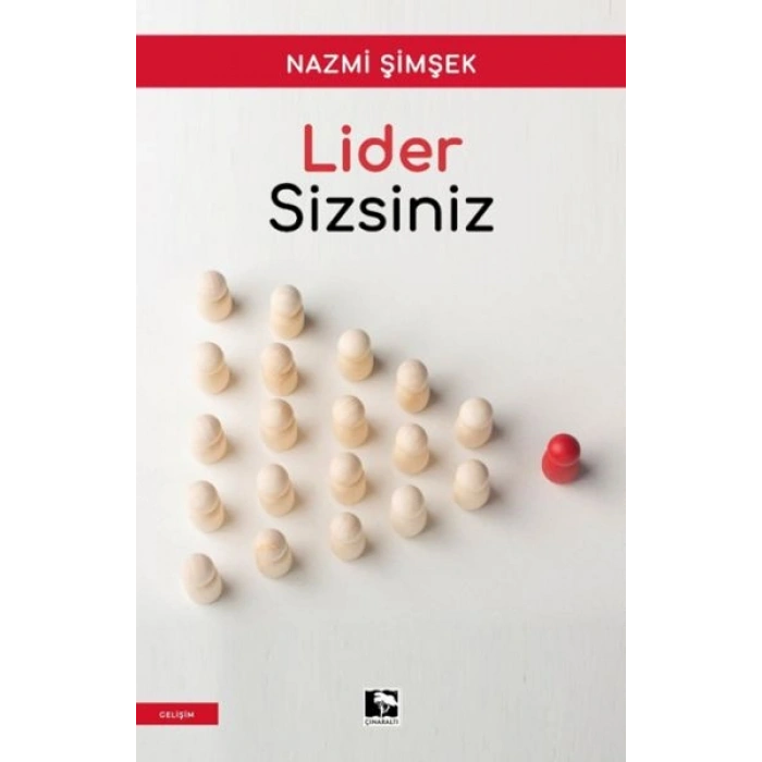 Lider Sizsiniz