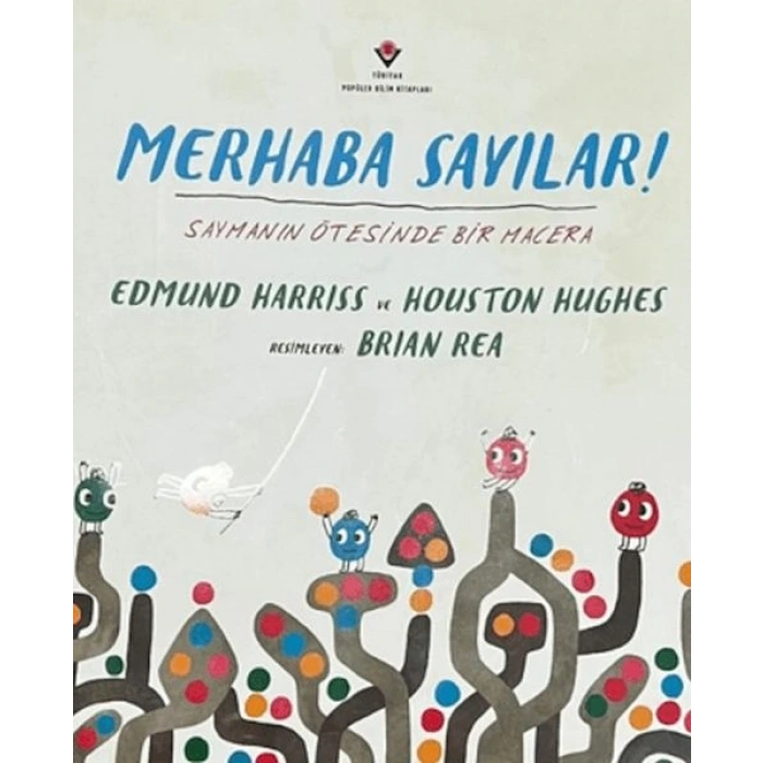 Merhaba Sayılar ! Saymanın Ötesinde Bir Macera