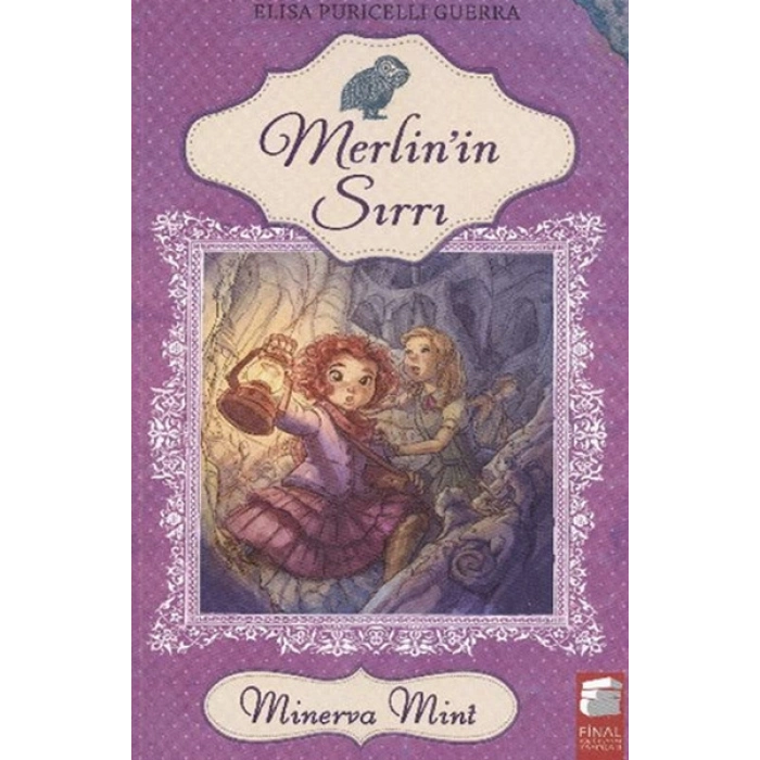 Merlinin Sırrı