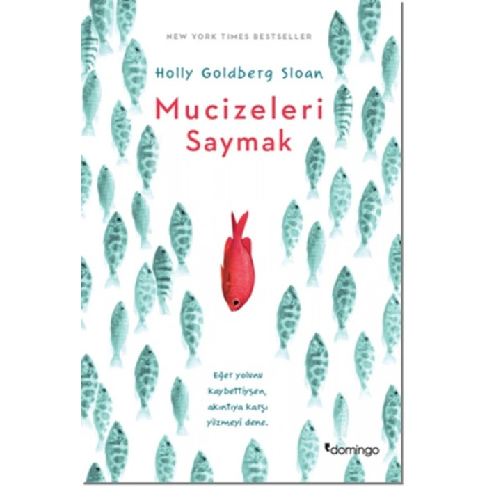 Mucizeleri Saymak