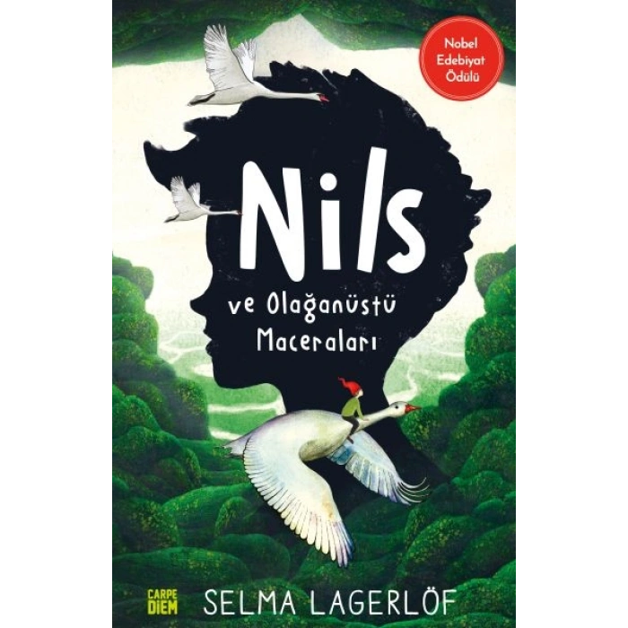 Nils ve Olağanüstü Maceraları