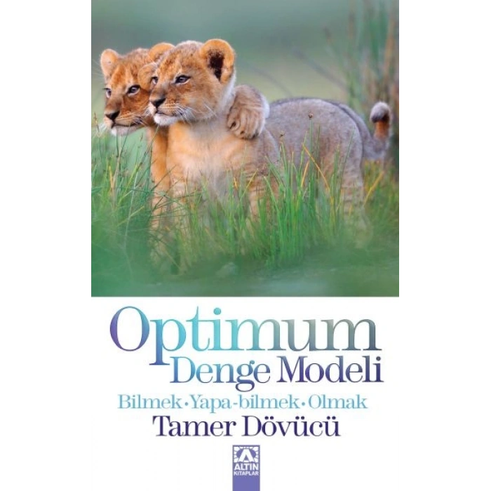 Optimum Denge Modeli