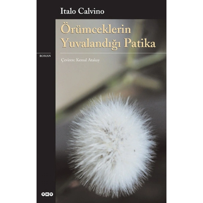 Örümceklerin Yuvalandığı Patika