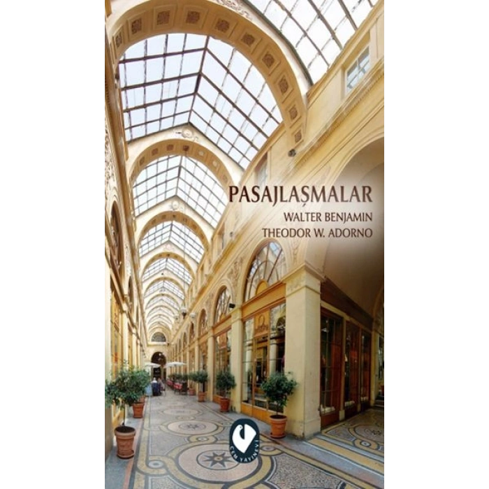 Pasajlaşmalar