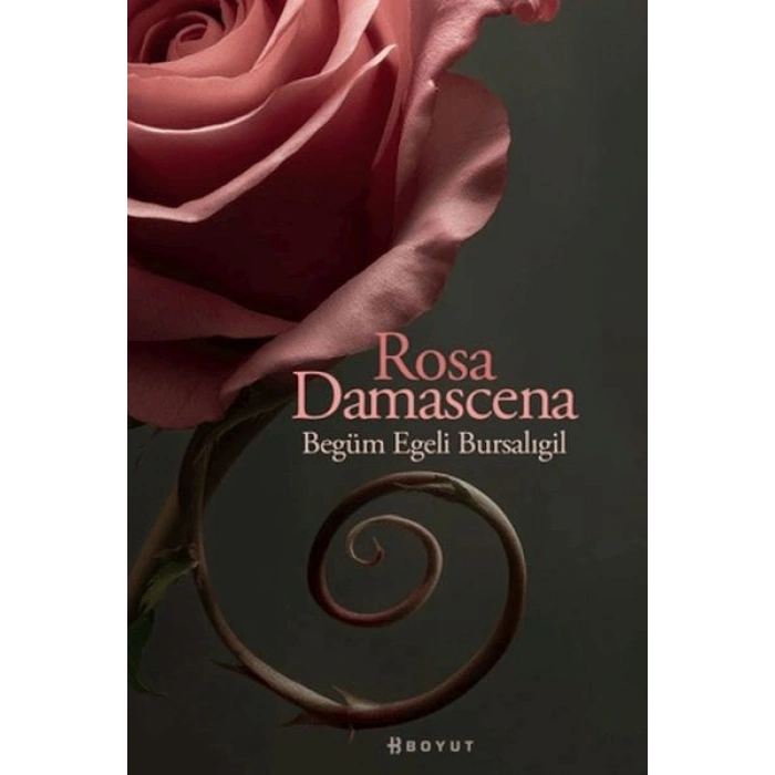 Rosa Damascena (Damask Gülü)