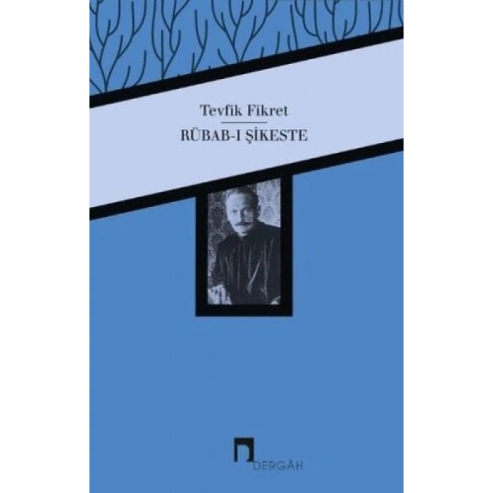 Rübab-ı Şikeste