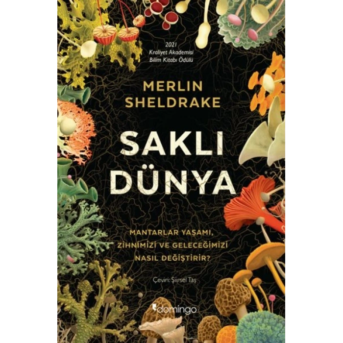 Saklı Dünya