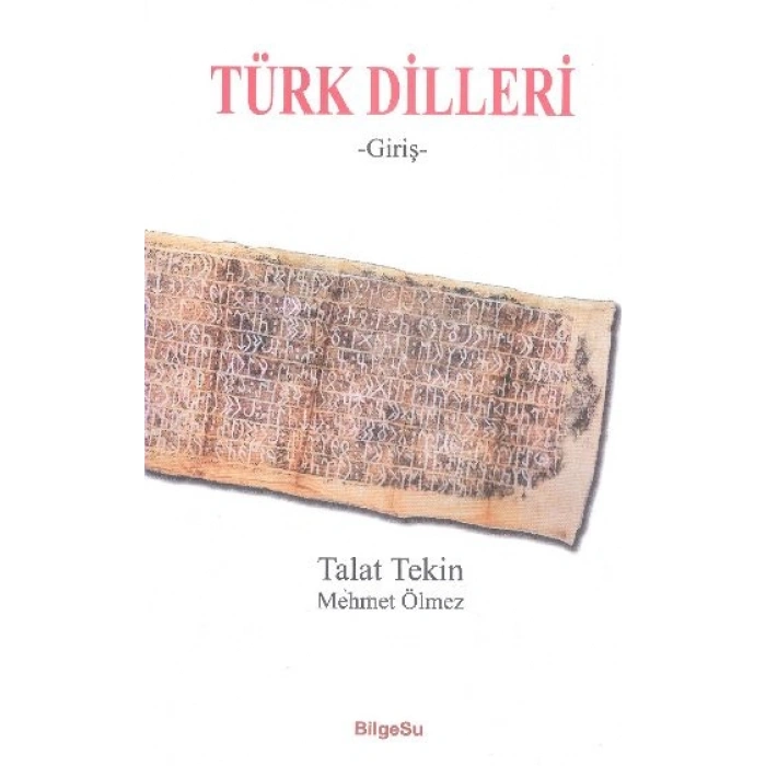 Türk Dilleri
