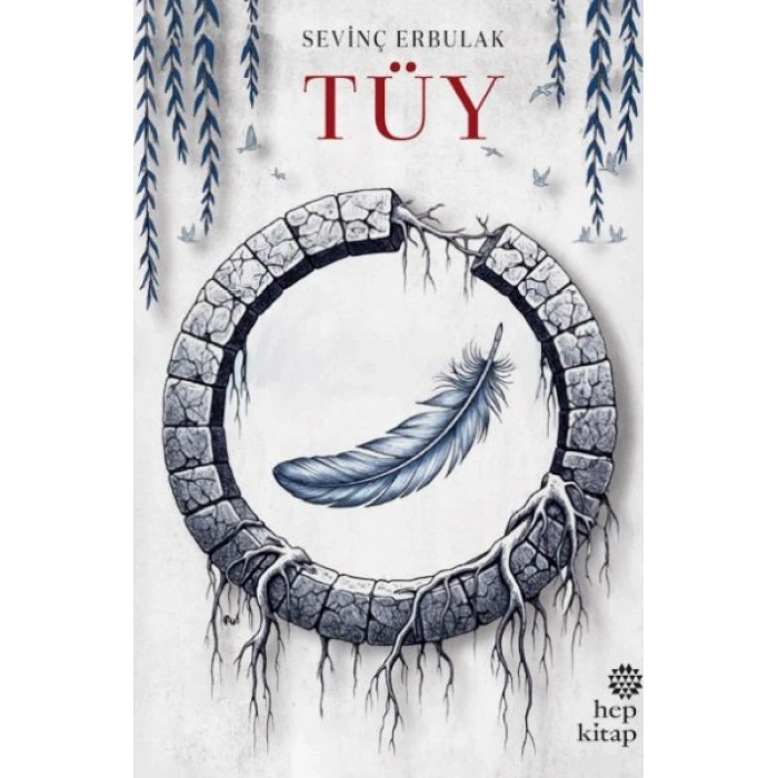 Tüy