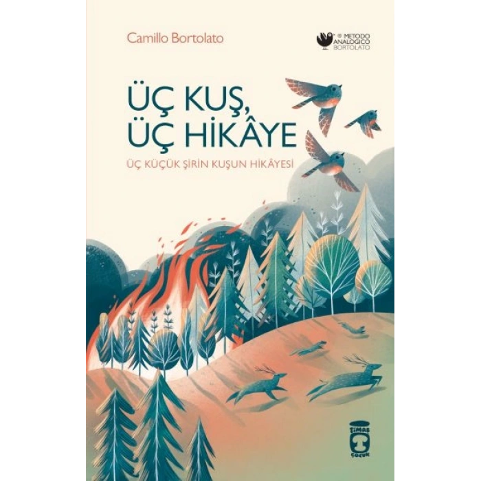 Üç Kuş, Üç Hikâye