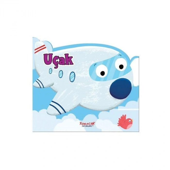 Uçak - Şekilli Kitap