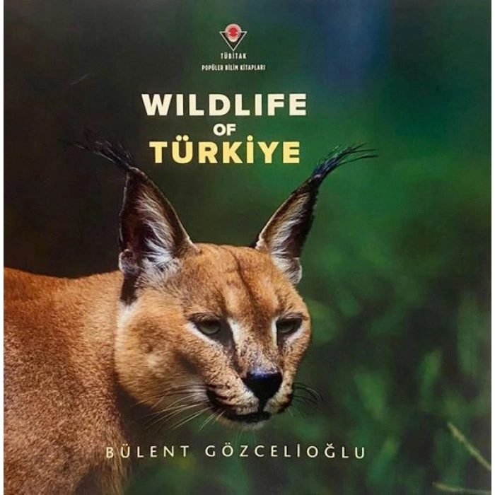 Wıldlıfe Of Türkiye