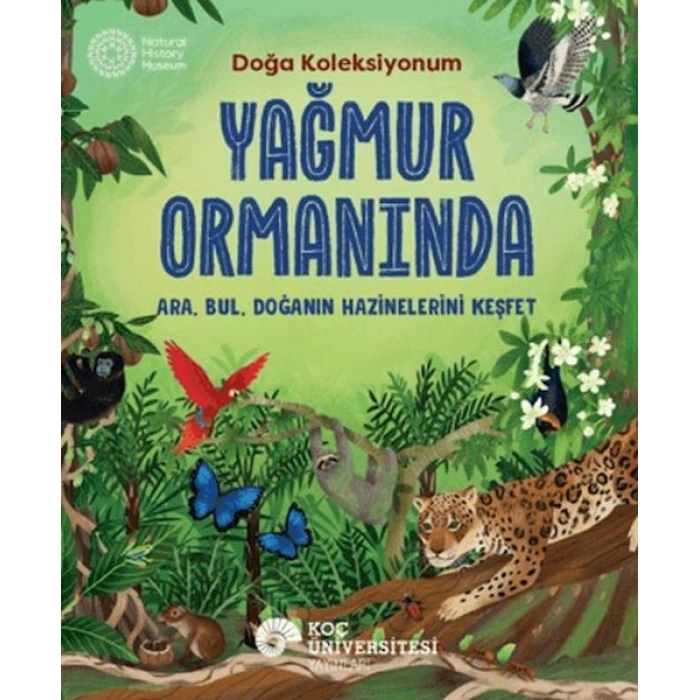Yağmur Ormanında