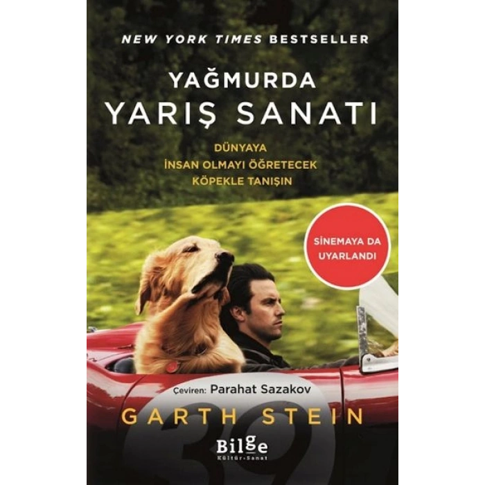 Yağmurda Yarış Sanatı