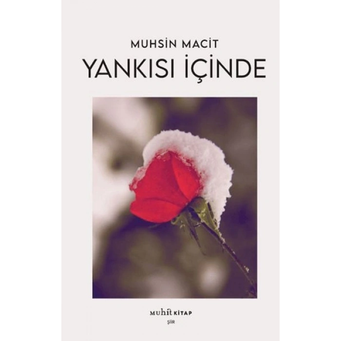 Yankısı İçinde