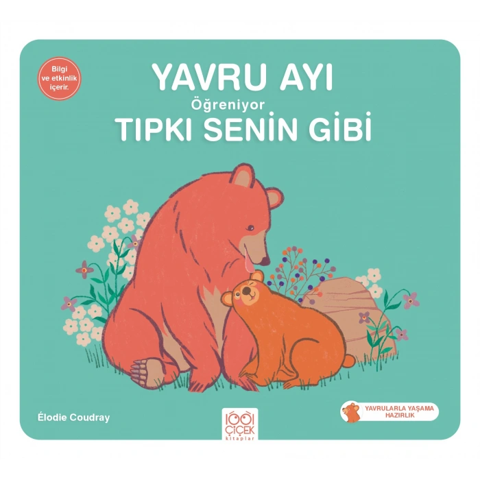 Yavru Ayı Öğreniyor Tıpkı Senin Gibi